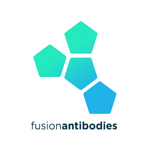 [Fusion Antibodies] 항체 신약 개발 서비스
