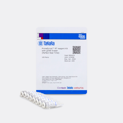 [TaKaRa] RR047A / PrimeScript™ RT reagent Kit with gDNA Eraser(Perfect Real Time), 100 회